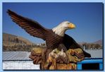 1-43_eagle_with_wings_out2C_attached_29.jpg
