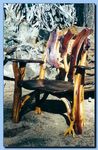 2-07_arm_chairs2C_hall_trees_and_thrones_archive.jpg