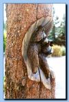 2-10_raccoons_carved_into_tree_stump-archive-0001.jpg