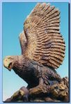 2-11_eagle_with_wings_up2C_attached-archive.jpg