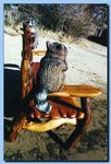 2-17_racoon_bench-archive-0002.jpg