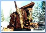 2-19_bird_house_with_pine_cones-archive-0006.jpg