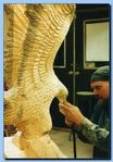 2-23_eagle_with_wings_up2C_attached-archive-0002.jpg