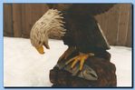 2-34_eagle_with_wings_up2C_attached-archive-0002.jpg